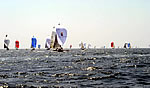    2003  "Follow-me"